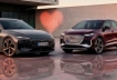 Audi electric lovers | Sevilla Wagen